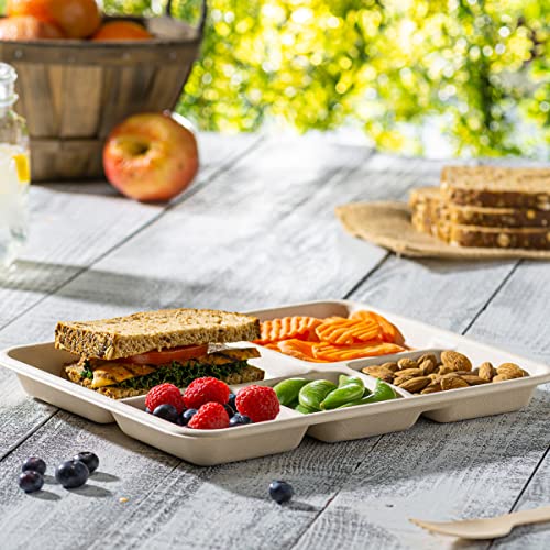 Comfy Package, 100% Compostable 5 Compartment Plates [125 Pack] Eco-Friendly Disposable Sugarcane 10 inch Paper Trays - Brown Unbleached Online Hot Sale